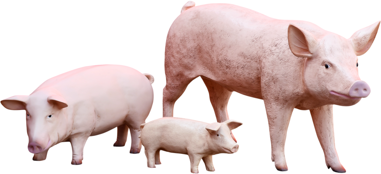 Schwein-Figuren aus GFK
