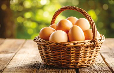 Eierkörbchen Backlightfolie