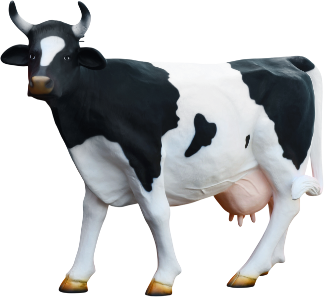 XXL Kuh-Aufsteller