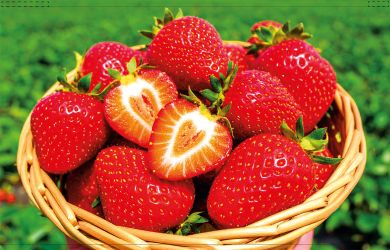 Erdbeeren Backlightfolie