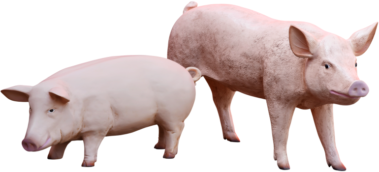 Schwein-Figuren aus GFK